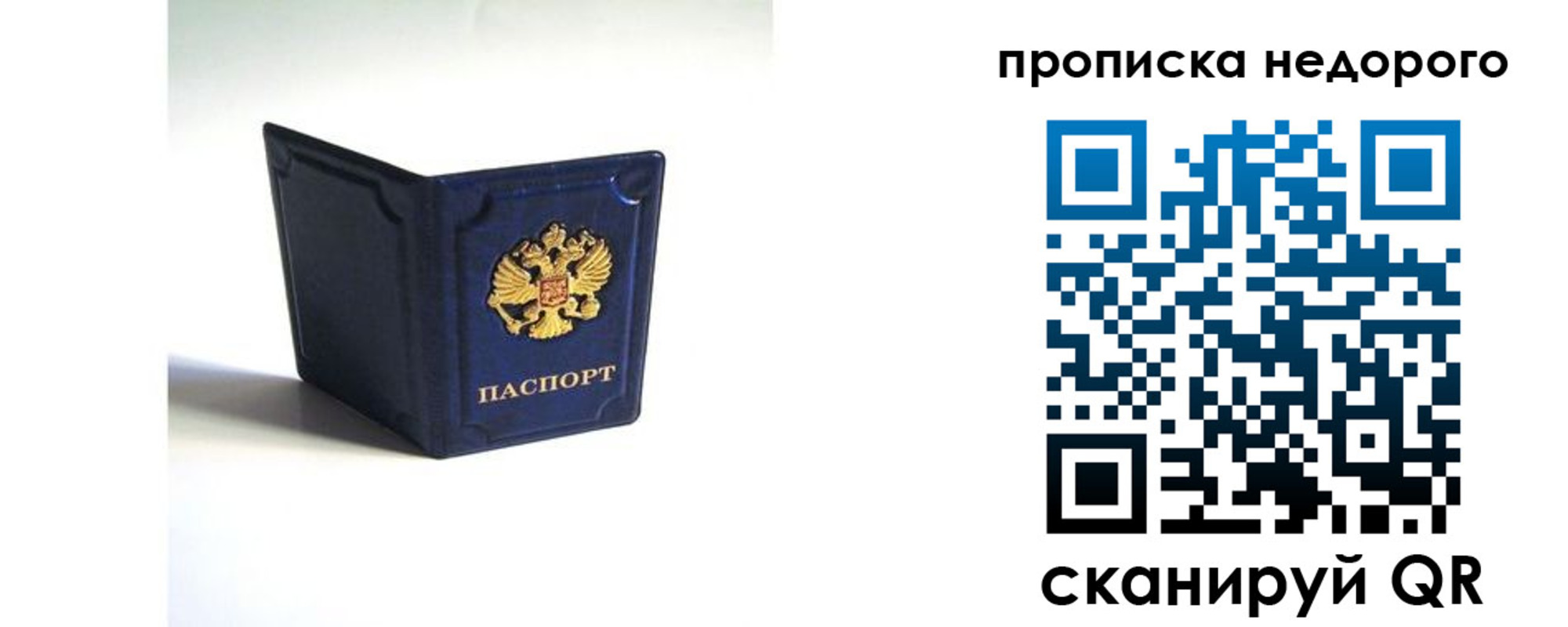 временная регистрация госуслуги в Елизово