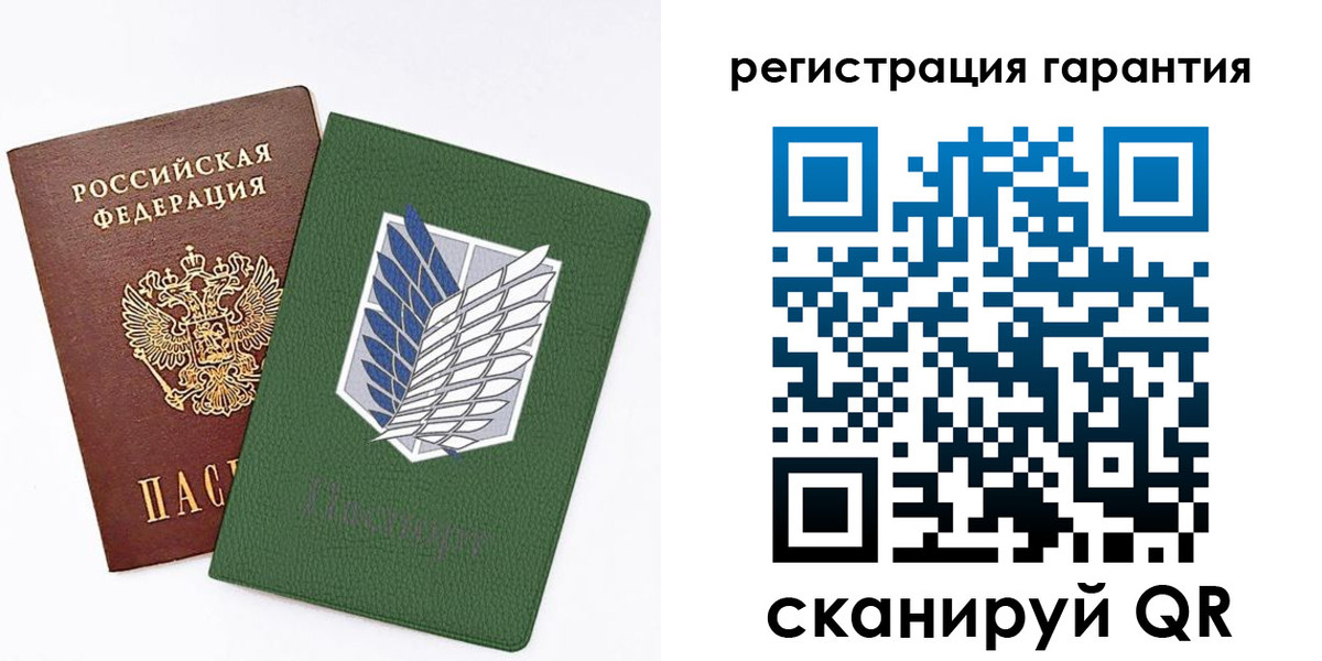 прописка 2025 в Елизово